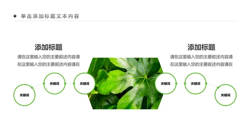 绿色清新植物生长敬畏生命成长励志PPT模板