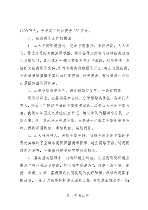 乡镇招商引资年终个人工作总结.docx