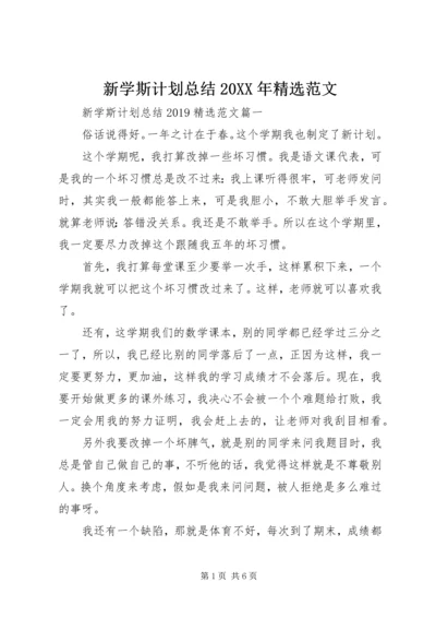 新学斯计划总结20XX年精选范文.docx