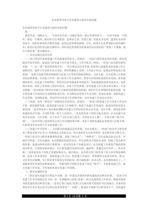 在加强领导班子自身建设方面存在的问题.docx