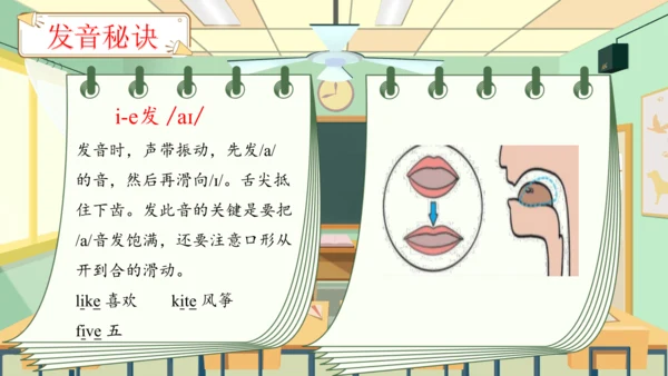 Unit 2 My schoolbag 单元复习(四)-语音及阅读+典型例题（共26张PPT）