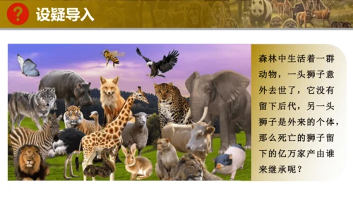 人教版生物七年级上册2.4.2《从种到界》（教学课件）(共16张PPT)