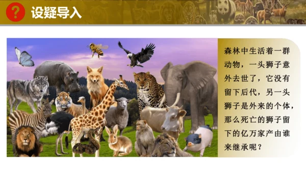 人教版生物七年级上册2.4.2《从种到界》（教学课件）(共16张PPT)