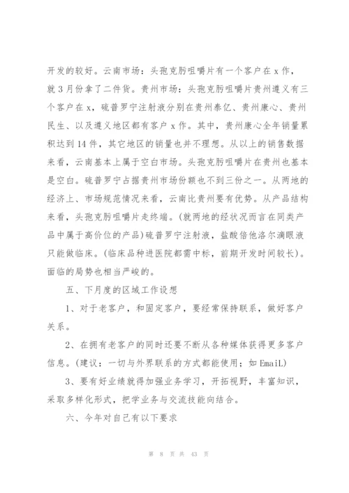 药品销售员个人工作总结与计划.docx