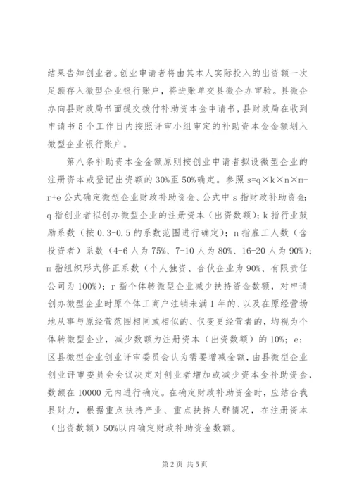 微型企业补助资金规范制度.docx