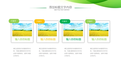 农业新农村种子春耕乡村振兴麦田发芽PPT