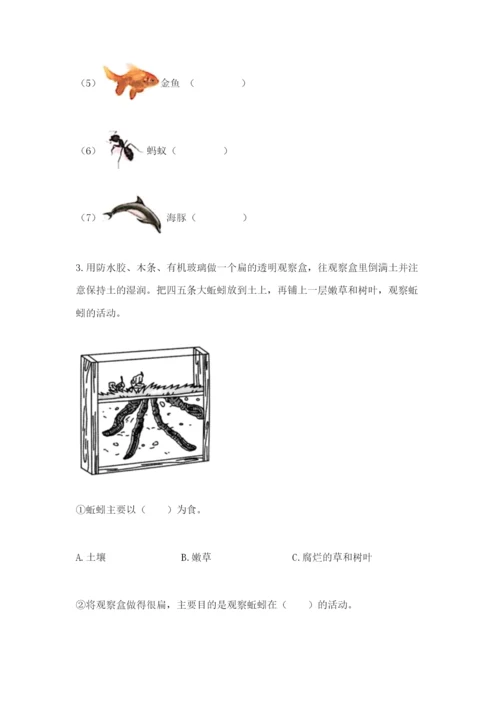 教科版二年级上册科学期末测试卷精品【综合题】.docx