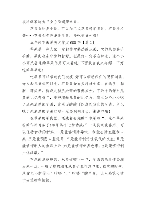 五年级苹果说明文作文600字(精选5篇).docx