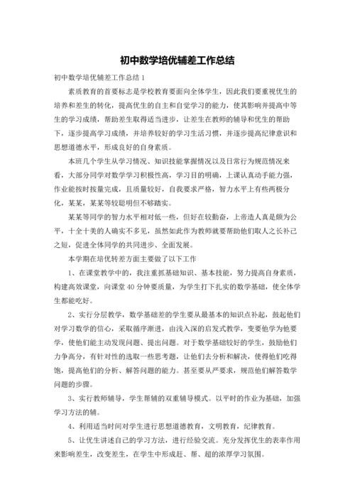 初中数学培优辅差工作总结.docx