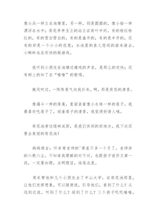 美丽的长白山天池作文550字.docx