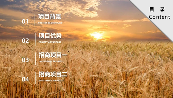 乡村振兴城乡融合绿色生态之城通用PPT模板