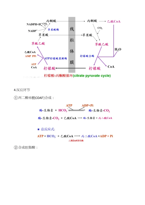 2023年生物化学脂质代谢知识点总结.docx