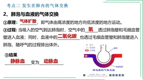 七年级下册 第三章 人体的呼吸【2023春人教七下生物期中期末复习课件】(共28张PPT)
