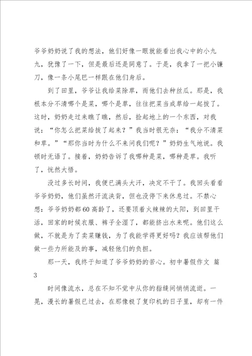 实用的初中暑假作文集锦六篇