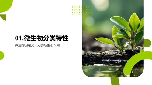 环保中的微生物应用