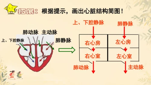 初中生物学>人教版（新课程标准）七年级下册4.4.3 输送血液的泵──心脏课件(共23张PPT)