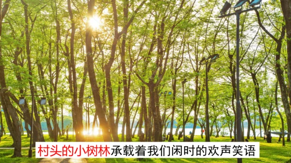统编版语文四年级上册 第一单元习作：  推荐一个好地方课件