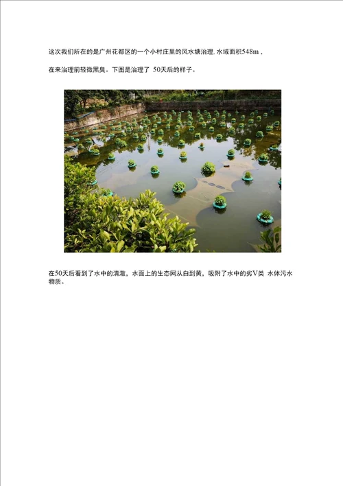 石墨烯水生态网，创新打破污水治理新格局