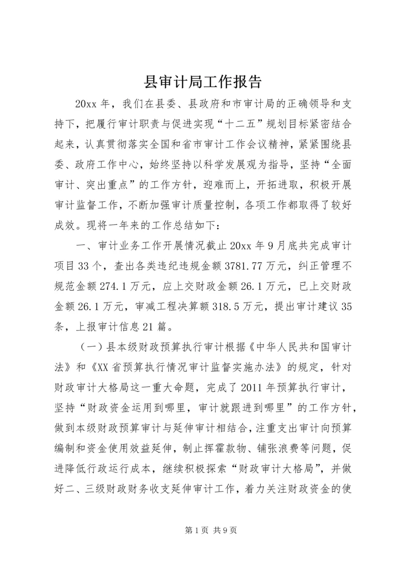 县审计局工作报告 (2).docx