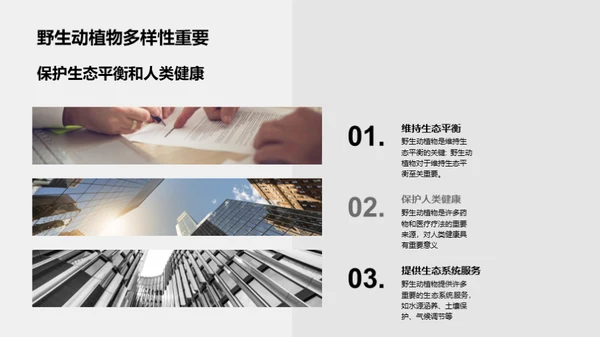 3D风其他行业教育活动PPT模板