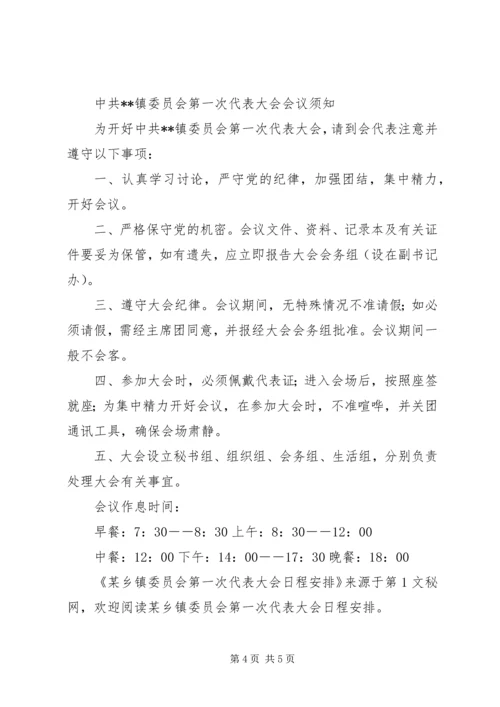 某乡镇委员会第一次代表大会日程安排.docx