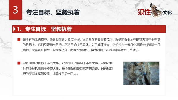 团队企业文化狼性文化员工培训PPT
