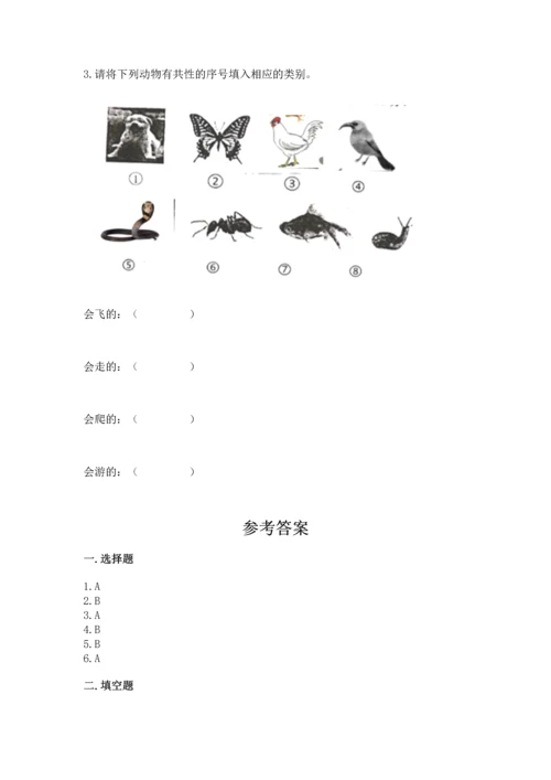 教科版一年级下册科学期末测试卷精品【典型题】.docx