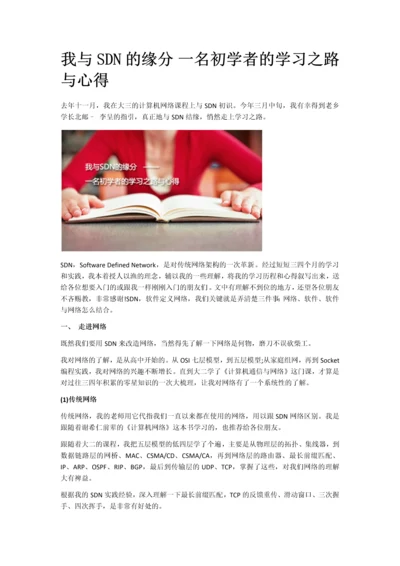 SDN初学者的学习之路与心得.docx