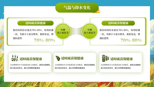 小满节气插画风教育通用模板PPT模板