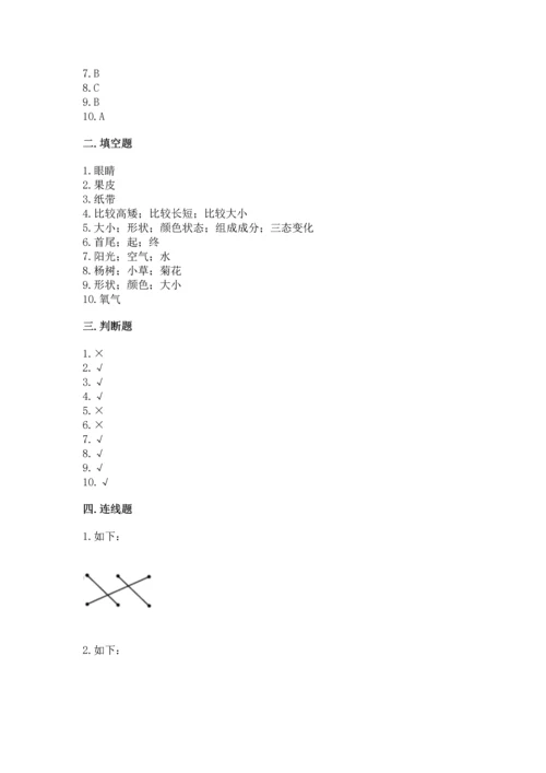 教科版一年级上册科学期末测试卷（轻巧夺冠）.docx