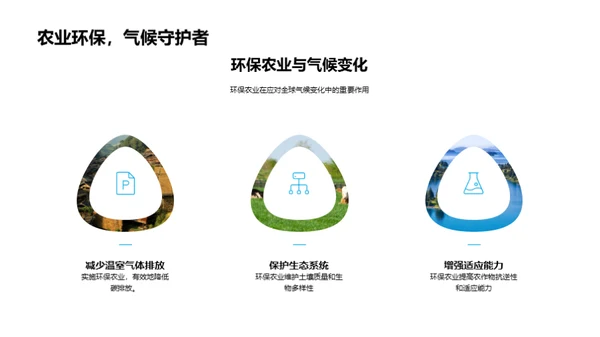 绿色之路：XX农业的环保探索