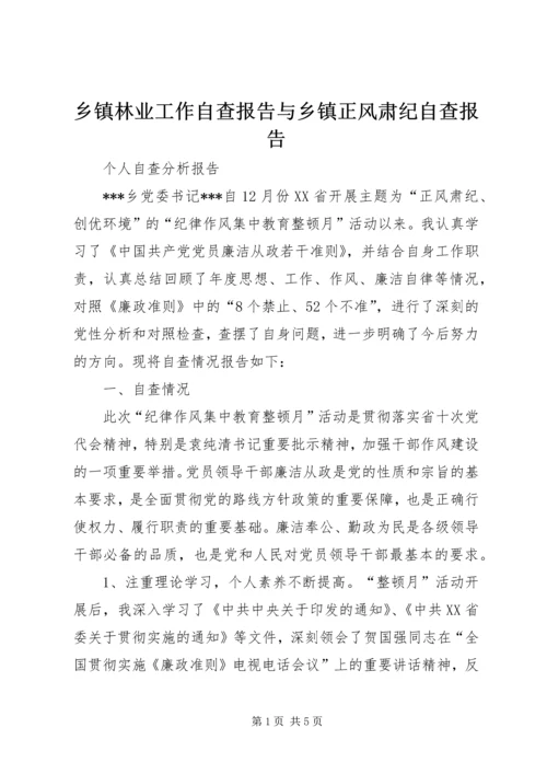 乡镇林业工作自查报告与乡镇正风肃纪自查报告.docx