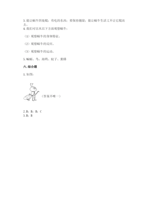 教科版一年级下册科学期末测试卷附答案（考试直接用）.docx