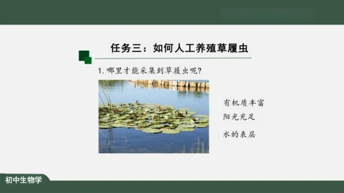 2.2.4 单细胞生物 课件（共24张PPT）