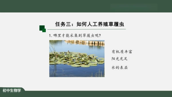 2.2.4 单细胞生物 课件（共24张PPT）