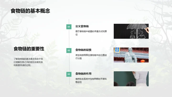 生态平衡与人类影响