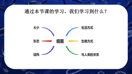 人教版生物七年级上册2.3.2《细菌》课件(共24张PPT)