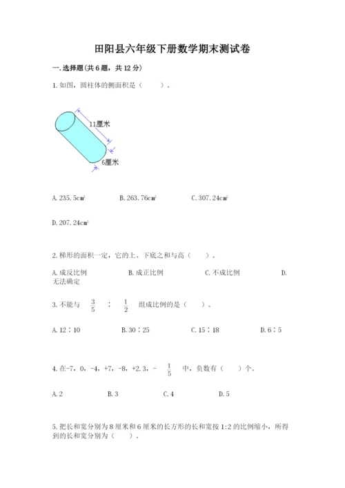 田阳县六年级下册数学期末测试卷及答案1套.docx