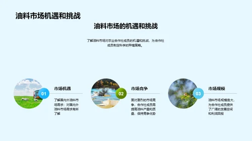 油料农业：致富新途径