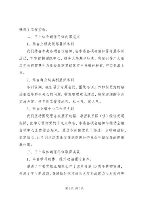 乡镇某年某年度党员冬训工作小结.docx