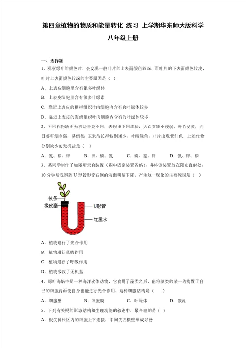 第四章植物的物质和能量转化练习华东师大版科学八年级上册