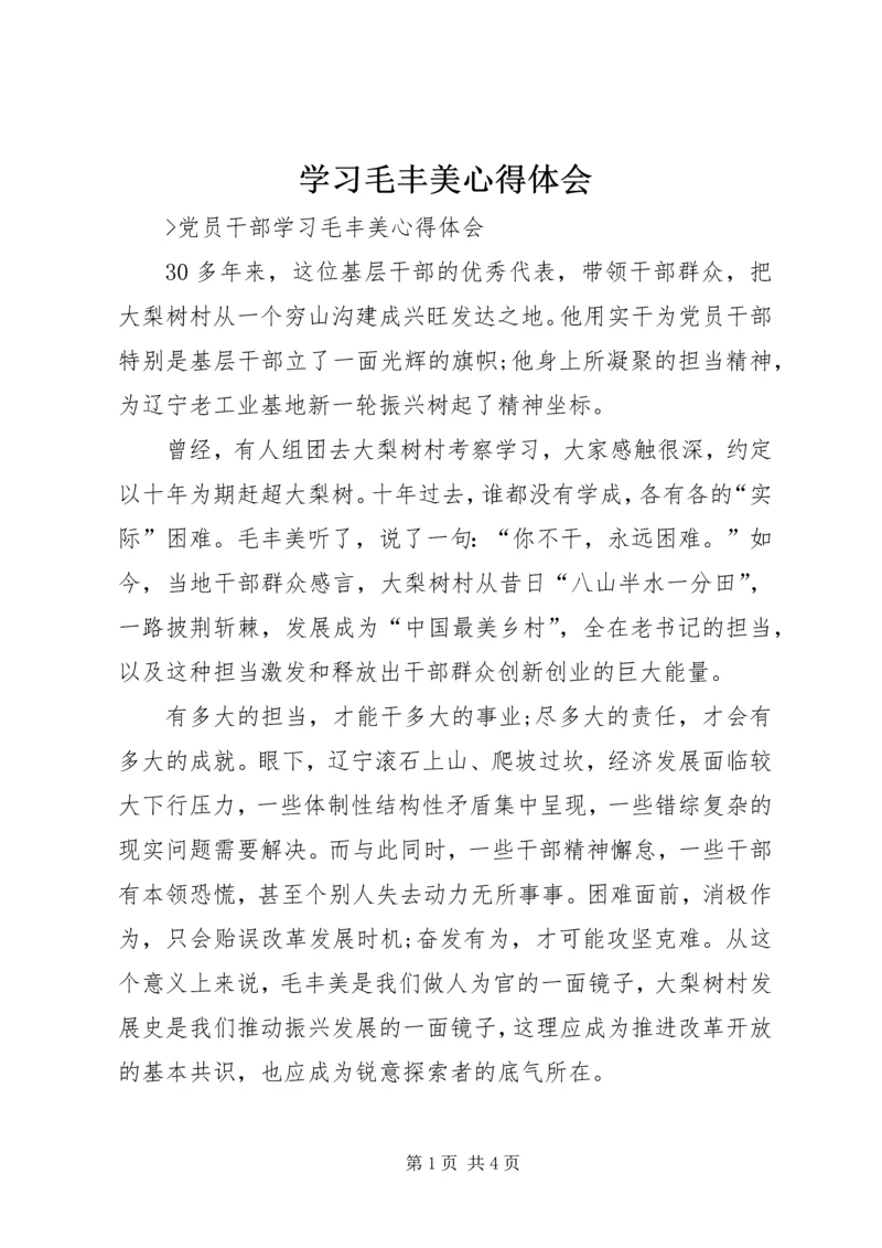 学习毛丰美心得体会 (4).docx