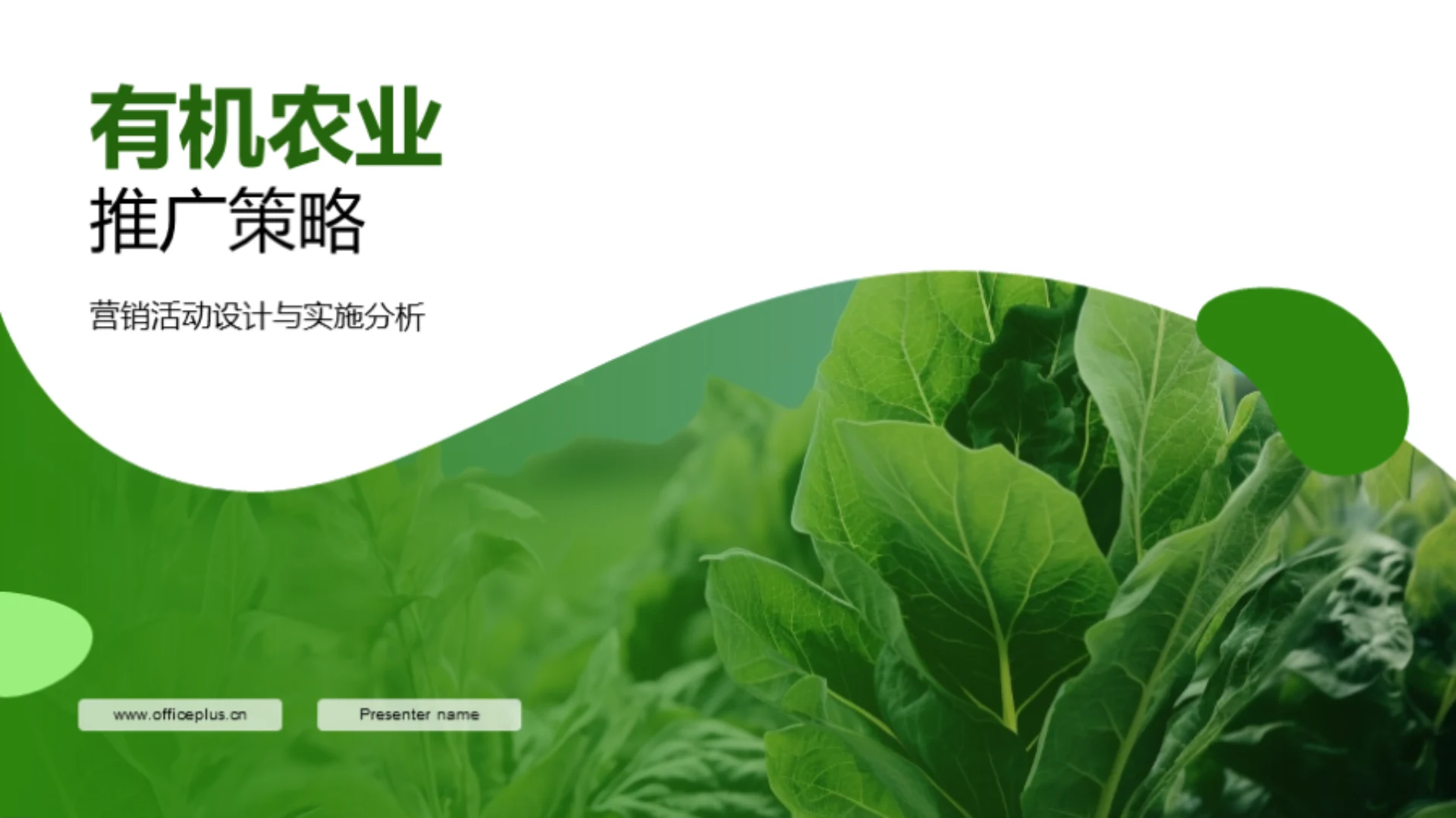 有机农业推广策略