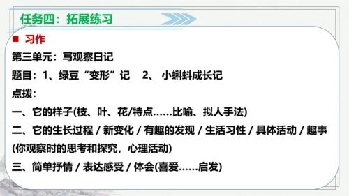 【学霸提优】统编版语文四上（ 第三单元重难点梳理复习）（课件）