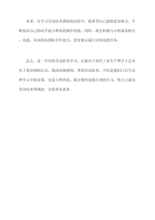 高中劳动技术课个人总结