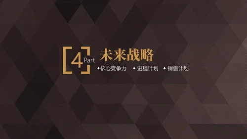 轻奢质感商业项目计划书通用PPT模板
