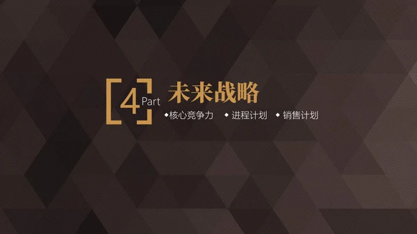 轻奢质感商业项目计划书通用PPT模板
