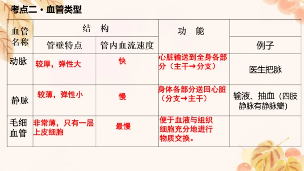 第四单元第四章人体内物质的运输 复习课件(共23张PPT)人教版七年级下册