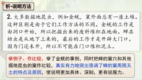 21《蝉》课件