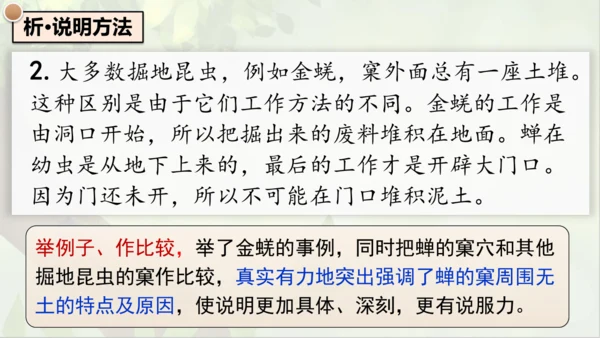 21《蝉》课件